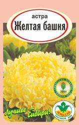 астра БАШНЯ ЖЕЛТАЯ / АГРО САД / НОВИНКА !!!
